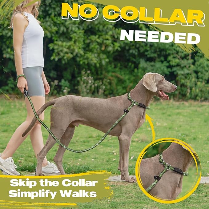 Fida Durable Slip Lead Dog Leash Bulk Pack of 5, Heavy Duty 1/2" x 6 FT Comfortable Strong Rope Slip Lead for Large, Medium & Small Dogs No Pulling Pet Training Leash with Highly Reflective (Mixed)