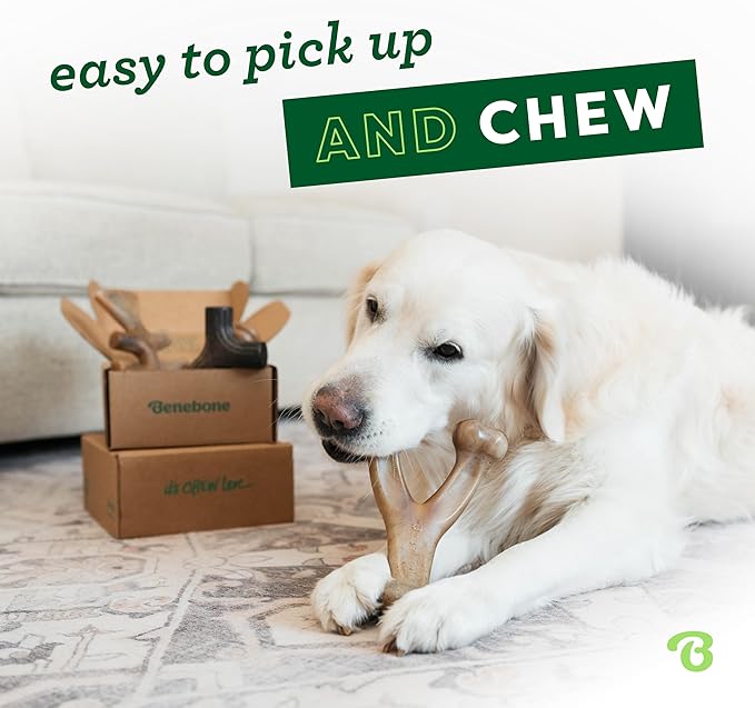 Benebone Large 4-Pack Dog Chew Toys for Aggressive Chewers, Made in USA, 90lbs and Under