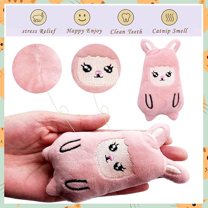 Pai Sence Cat Toys for Indoor Cats Kittens Interactive Pillow Catnip Toys with Bell Bite Toy 6 Pcs