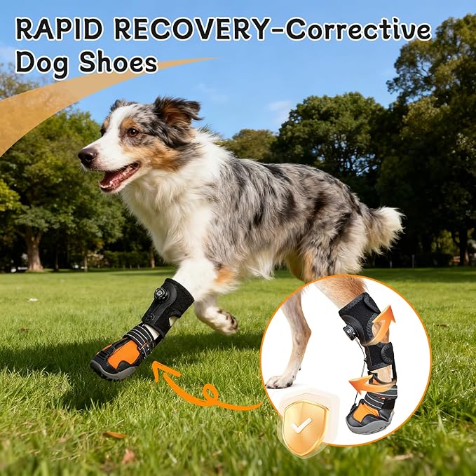 YAQUHO No Knuckling Brace for Dogs - Drop Foot Support with Adjustable Reel, Corrective Outdoor Pet Shoes - Helps Lift Toes for Nerve Conditions, Arthritis & Mobility Issues (L)