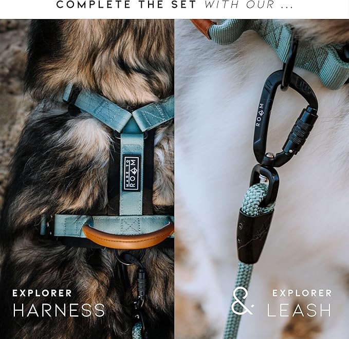 Made to ROAM Premium Explorer Control Collar - Adjustable Heavy Duty Nylon Dog Collar with Quick-Release Metal Buckle and Leather Handle (Florida Seaside, Size 2, Control)