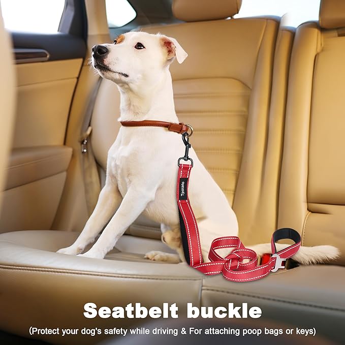 6 Foot Red Dog Leashes for Large Medium and Small Breed Dogs That Pull,Reflective Nylon Heavy Duty Dog Leash with 2 Comfortable Padded Traffic Handles and Car Seat Belt for Walking and Training