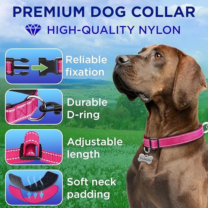 TECEUM Reflective Dog Collar – Hot Pink – M – Extra Soft Padding – Basic Nylon Pet Collar – Quick Release Buckle – Fits Small, Medium and Large Dogs, Puppies, Cats – ESA & Service Dog Options