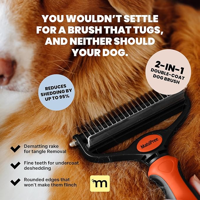 MalsiPree Dog Brush - Large, Orange - 2-in-1 Deshedding Tool & Undercoat Rake, Dog Undercoat Brush - Gentle Dematting Comb & Pet Hair Removal Tool - Smooth-Edge Design & Grooming Comb