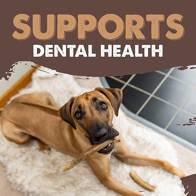 Mighty Paw Elk Antlers for Dogs | Large Size 8'' Premium Deer Antlers, Pets &Puppies. Long Lasting Aggressive Chewers. Dog Antler Chews for Large &XL Dog,1 Count (Pack of 1)