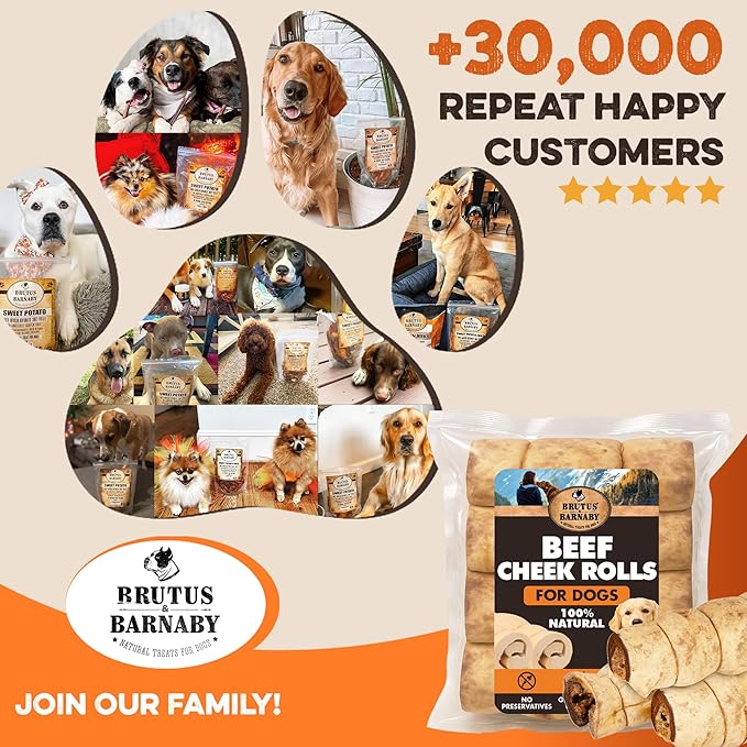 Premium Beef Cheek Rolls for Dogs 10-12" - (5-Pack), Peanut Butter Flavored Long Lasting, Safe & Natural Rawhide Alternative Chews, Ideal for Large Dogs & Aggressive Chewers, Supports Dental Health