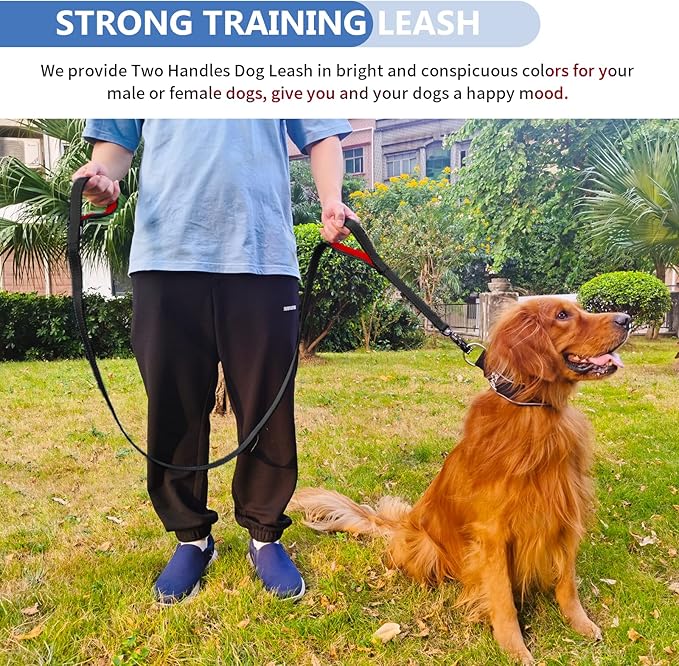 Strong Heavy Duty Dog Leash - 6ft Reflective Nylon Training Leash with Soft Padded Double Handle & Auto Lock Frog Clip - Safety Traffic Control for Large Medium Small Dogs No Pull Walk Black Red,6ft