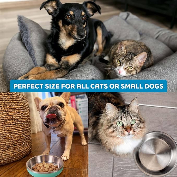 Master Pet Supply Stainless Steel Cat Bowls - 9 oz Heavy Duty - Pistachio, Double Wall Extra-Thick Insulated, Non-Slip Pet Water Bowl for Cats & Pets, Anti Rust Metal, Dishwasher Safe