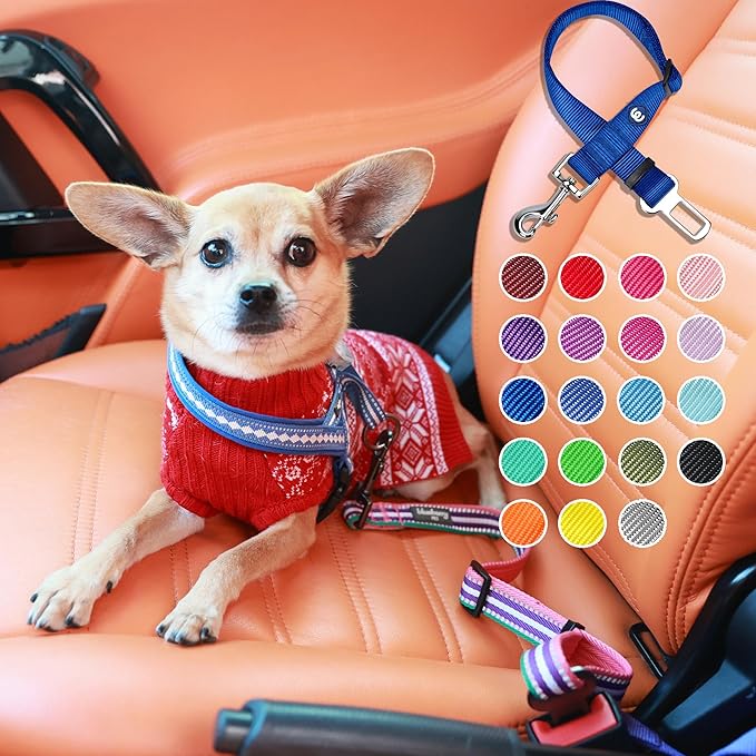 Blueberry Pet Essentials Classic Dog Leash, Neon Green Dog Leashes for Large Dogs Heavy Duty, Puppy Essentials Car Seat Belt Tether, Safety Accessories for Pet Parents & Road Trip Enthusiasts