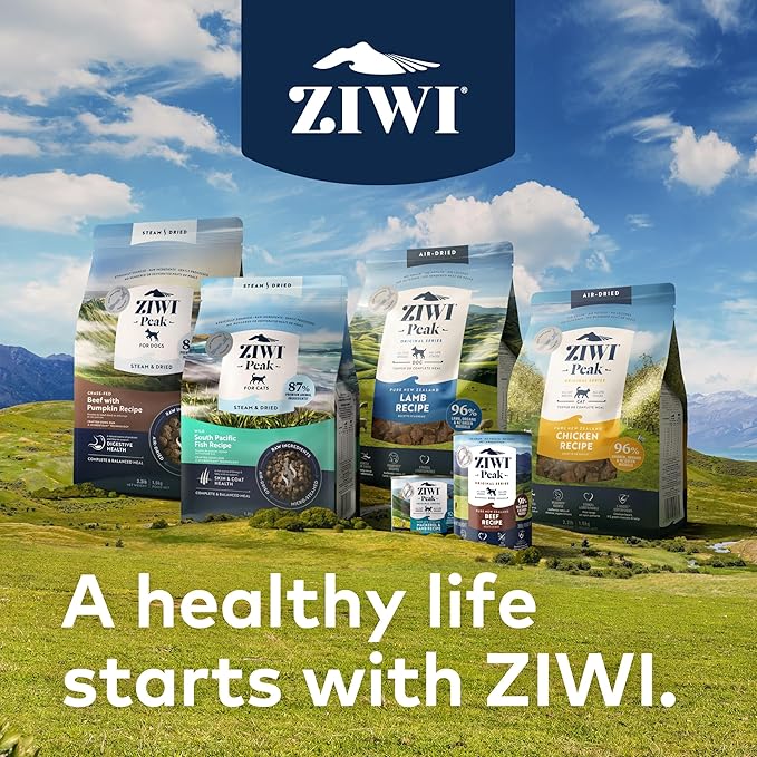 ZIWI Peak Wet Cat Food – All Natural, High Protein, Grain Free, Limited Ingredient, with Superfoods (Beef, Case of 6, 3oz Cans)