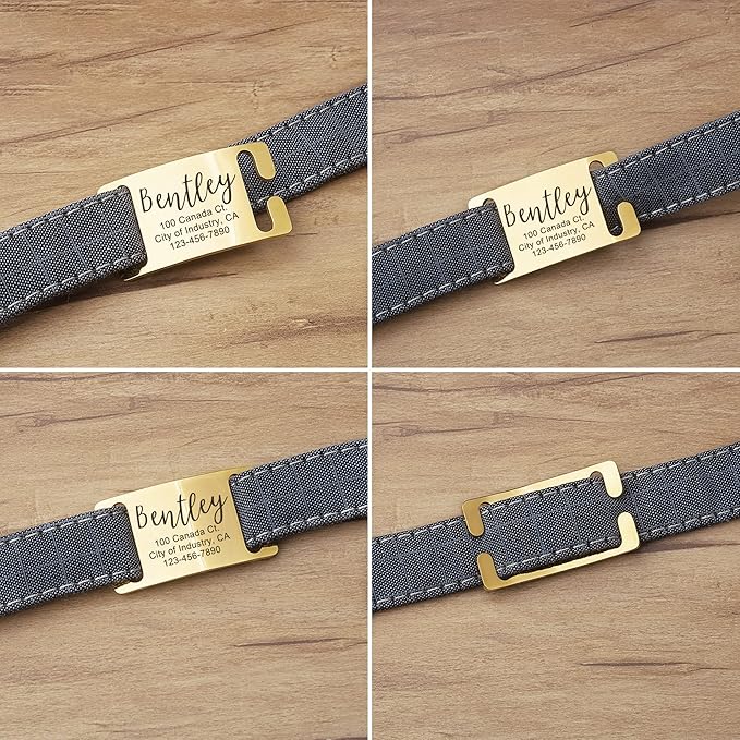 Anavia Slide On Silent Pet ID Tags, S/M/L/XL Personalized Gold Black Stainless Steel Customized Engraved Cat Dog Name Tags, Glossy Finish Chew-Proof Quiet Dog Collar Tag (Blue, Large)