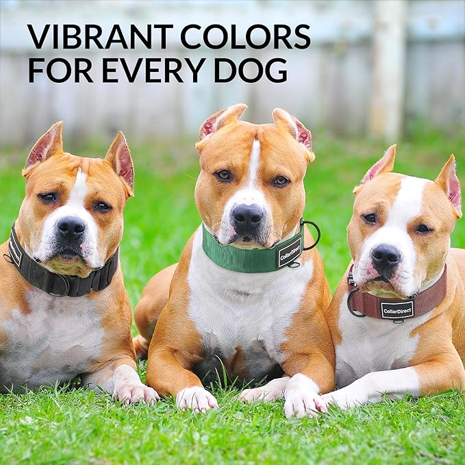 Heavy Duty Dog Collar for Large or Medium Dogs, Adjustable Strong Dog Collar for Active Dogs, Double-Layered Nylon (Black, 15-23)