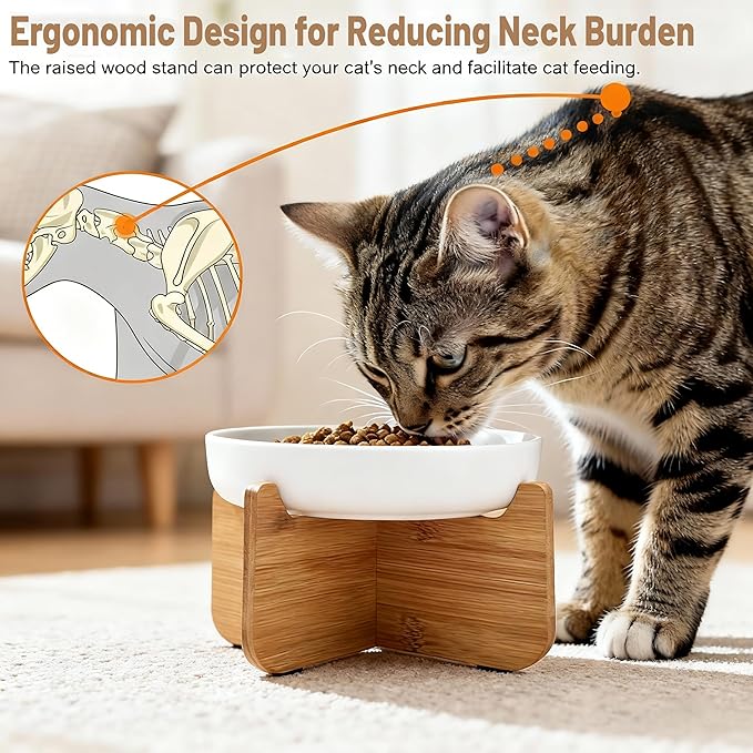 Shallow Elevated Cat Bowls with Bamboo Stand, 6.1 Inch Wide Ceramic Cat Dish Whisker Friendly, 2 Pack Pet Food and Water Plates
