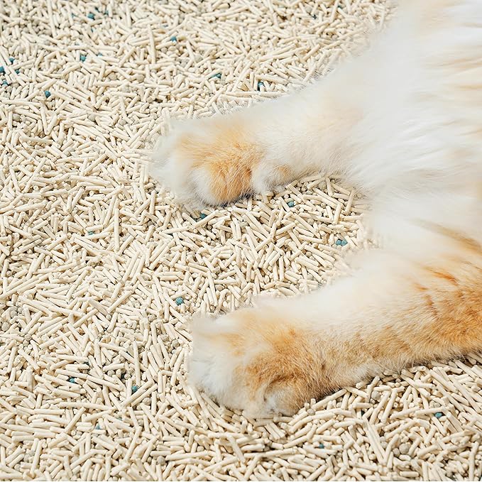 Michu Mixed Tofu Cat Litter Lite 5.5Lb/6L – Flushable, Eco-Friendly & Odor Control (12 Packs)