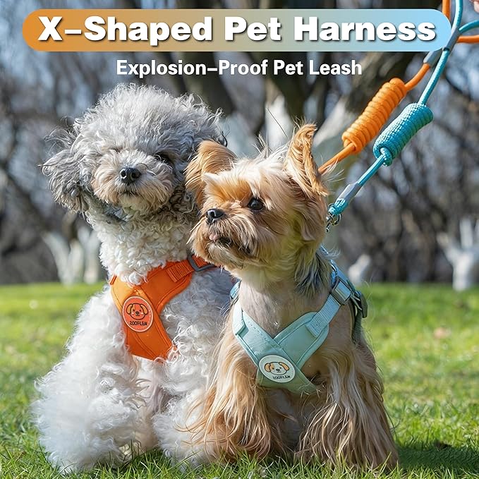 Dog Harness with Leash Set, Puppy Soft Vest No Choke No Pull, Adjustable Neck and Chest, Lightweight Harness and Anti-Twist Pet Leash Combo for Small to Medium Dogs (Orange, L-Large)