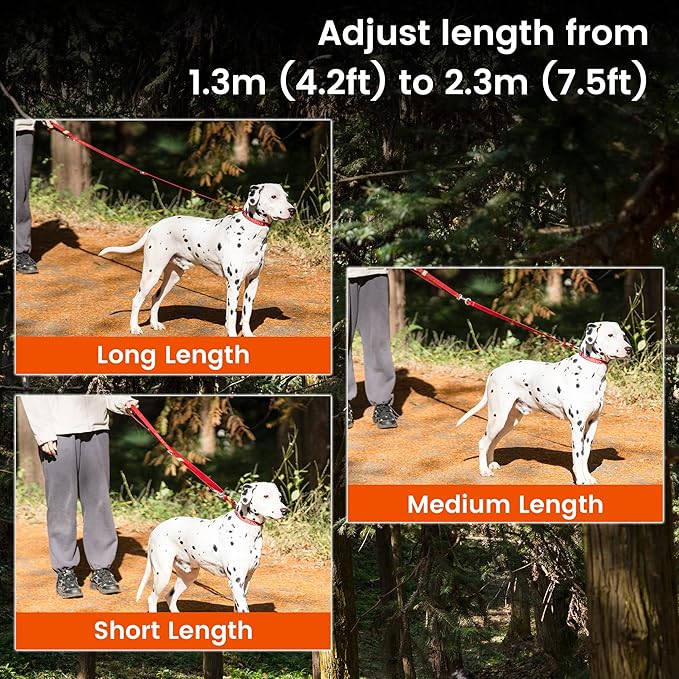 HOWGO Hands Free Dog Leash with Padded Handle,Multifunctional Crossbody Waist Leash for Walking Running Jogging Training,7.5 FT Nylon Adjustable Length for All Breeds(MintGreen, Standard)