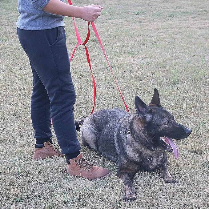 Siumouhoi Dog/Puppy Obedience Recall Training Agility Lead - 15ft 20ft 30ft 40ft 50ft Training Leash - Great for Play, Camping, or Backyard (Mint Blue, 40 Feet)