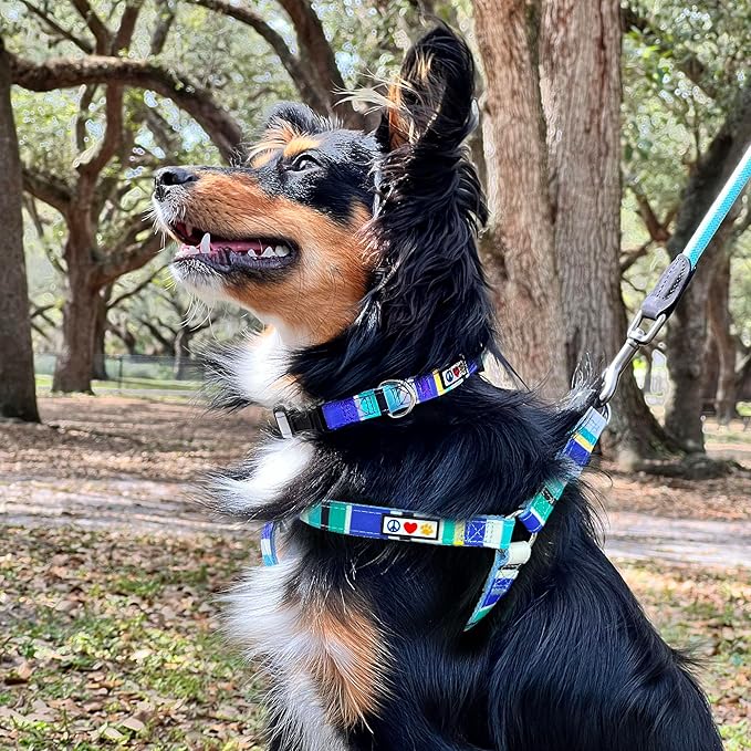 Pawtitas Personalized Dog & Puppy Harness Extra Small Blue/Teal/Yellow Custom ID Tag Adjustable No Pull Vest