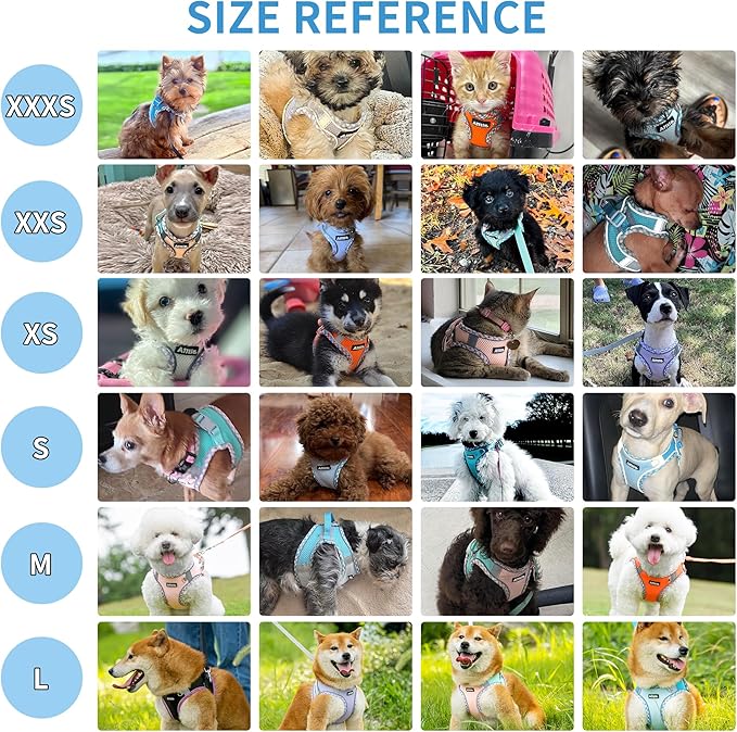 AIITLE Tiny Dog Harness - Lightweight Mesh Step-in Vest for Puppy, Reflective & Escape-Proof Design with High-Stick Magic Tape - Indoor/Outdoor Use for Chihuahua, Maltese, Shih Tzu(Sage, XXXS)