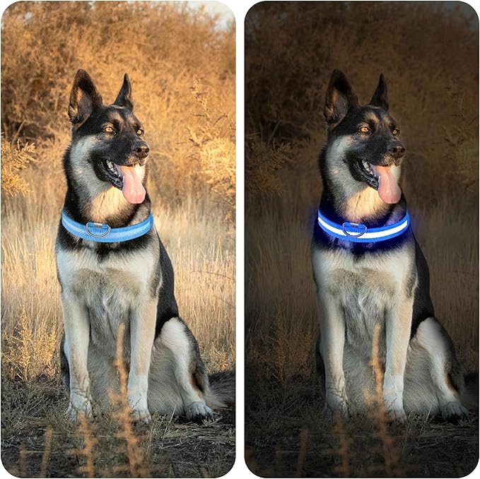 LED Light Up Dog Collar Rechargeable Waterproof, Glow in Dark Dog Collar, Lighted Dog Collars for Night Walking Charging USB, Safety for Small Medium Large Dogs (S, Blue)