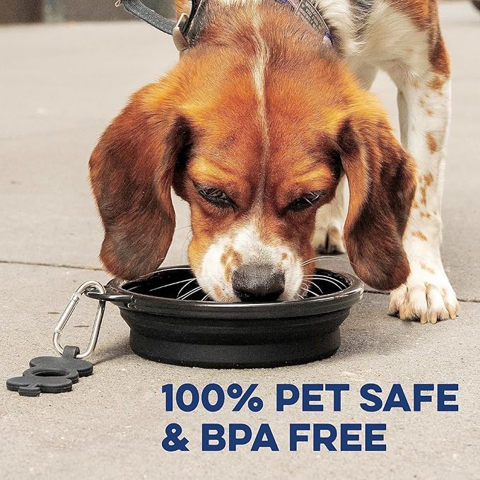 Bonza Collapsible Dog Bowls - 2 Pack, Small 12 oz, Dog Travel Accessories, Silicone Portable Dogs Bowl & Water Dish with Reinforced Rim & Carabiner for Hiking, Camping, and Car Trips, Black