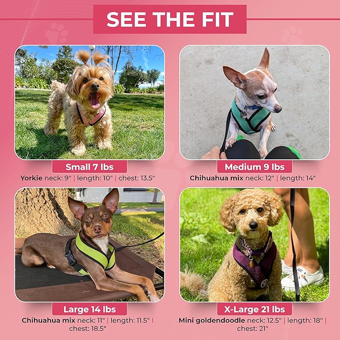 Gooby Comfort X Head in Harness - Hunter Green, Large - No Pull Small Dog Harness Patented Choke-Free X Frame - On The Go Dog Harness for Medium Dogs No Pull or Small Dogs for Indoor and Outdoor Use