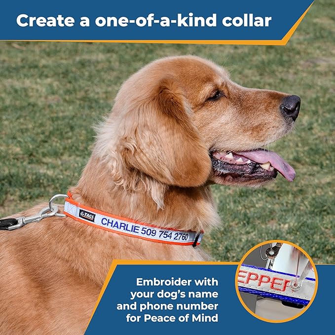 GoTags Reflective Personalized Dog Collar, Custom Embroidered with Pet Name and Phone Number in Orange for Boy and Girl Dogs, Adjustable Small