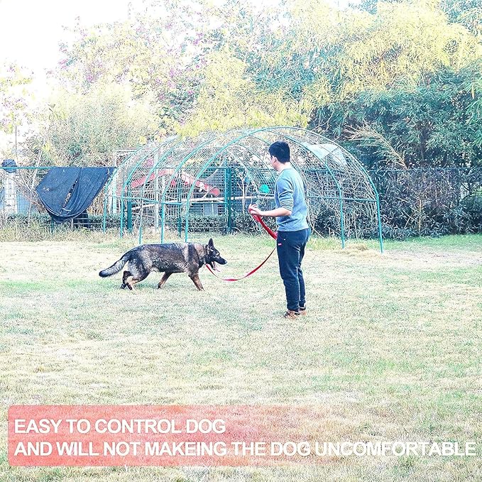 Siumouhoi Dog/Puppy Obedience Recall Training Agility Lead - 15ft 20ft 30ft 40ft 50ft Training Leash - Great for Play, Camping, or Backyard (Mint Blue, 40 Feet)