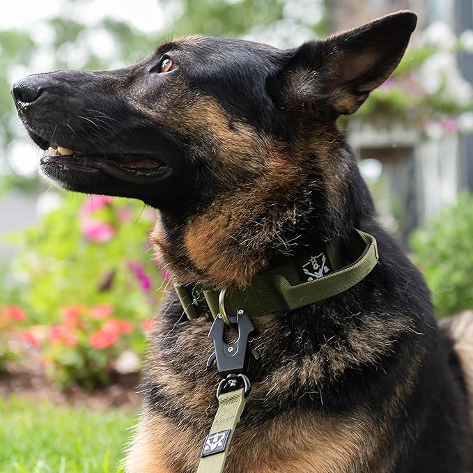 Operation Good Boy Tactical Dog Leash – 5FT Heavy Duty Military-Grade Nylon with Quick Release Aviation Aluminum Clip & 360° Swivel – Training Leash for Medium and Large Dogs (Black)