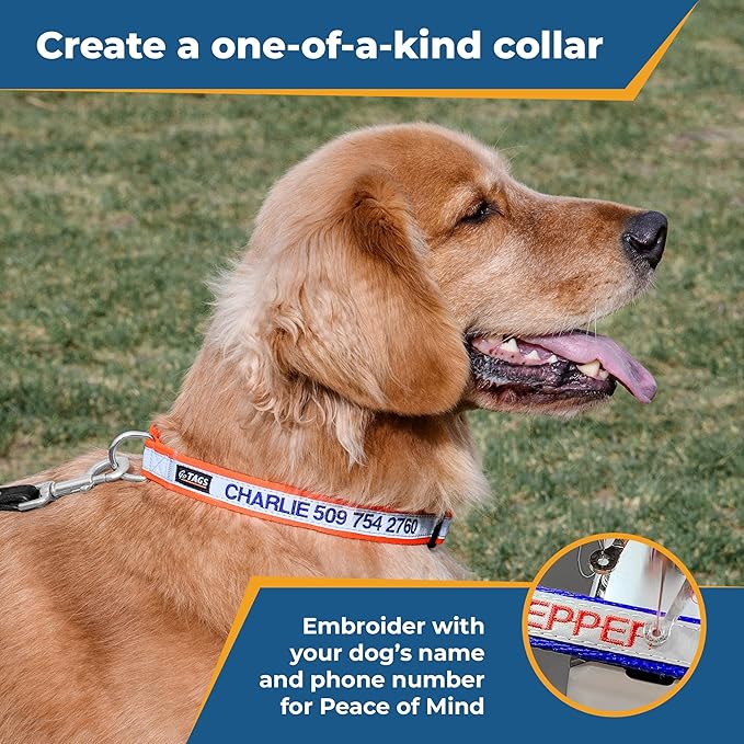 GoTags Reflective Personalized Dog Collar, Custom Embroidered Safety Collar with Pet Name and Phone Number for Boy and Girl Dogs, Small, Medium, and Large Adjustable Sizes (Medium, Charcoal)