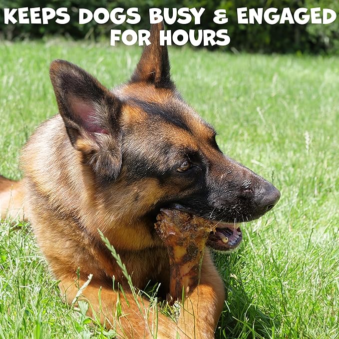 Beef Shin Bones for Dogs - Liver Coated Long Lasting Dog Chews for Aggressive Chewers - Rawhide-Free Big Bones for Large Dogs - Healthy Large Dog Bone (2 Pack)