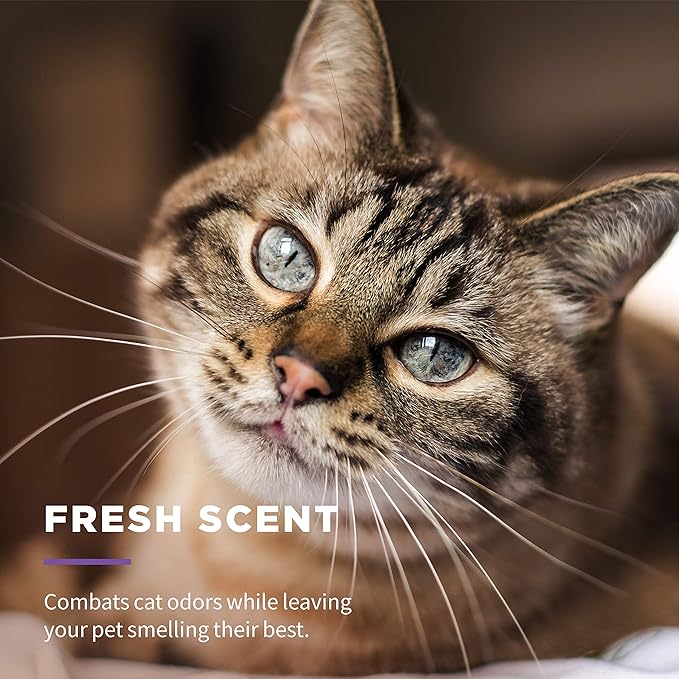 Wet Ones for Pets Freshening Multipurpose Wipes for Cats with Aloe Vera, Fresh Scent - Easy to Use Cat Cleaning Wipes for Pet Grooming in Canister, 50 Count - 3 Pack