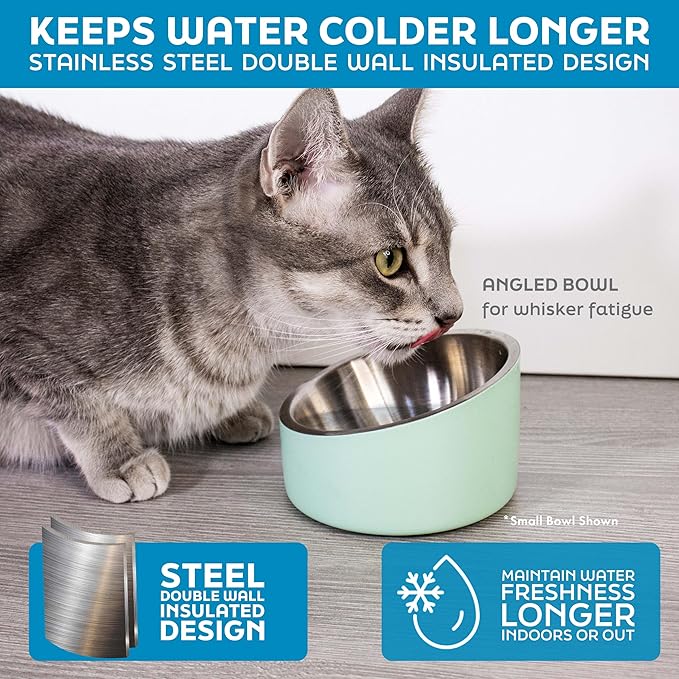 Master Pet Supply Stainless Steel Slanted Dog Cat Food Bowl - 24 oz Heavy Duty - Rose Quartz, Double Wall Insulated, Non-Slip Elevated Bowl for French Bulldogs Pugs Cats, Anti Rust Dishwasher Safe