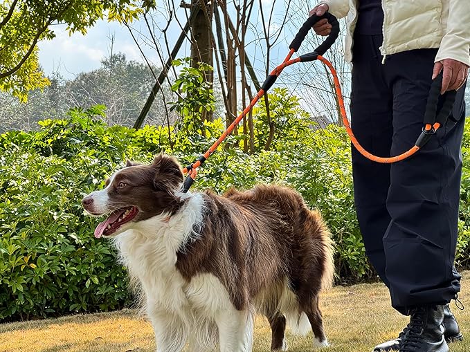 PET-ELF 1/2” x 4.9 ft Adjustable Slip Lead for Medium to Giant Dogs, No Pull Outdoor Training Leash, Tactical, Durable Nylon Rope, Reflective Material, Traffic Handles, Orange,1 Pack