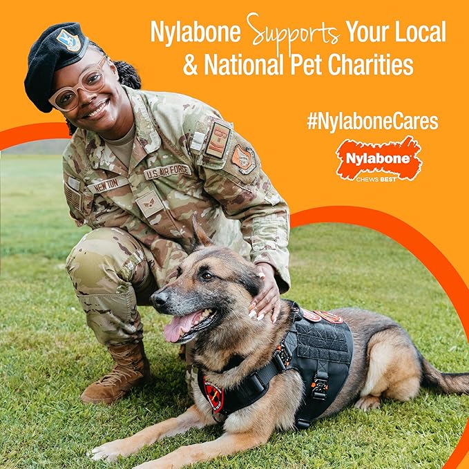 Nylabone Textured Bone Power Chew Toy for Dogs, Durable & Tough Dog Toys for Aggressive Chewers, Basted Blast Bacon and Steak Flavor, Large Dogs - Up to 50 lbs, 1 Count