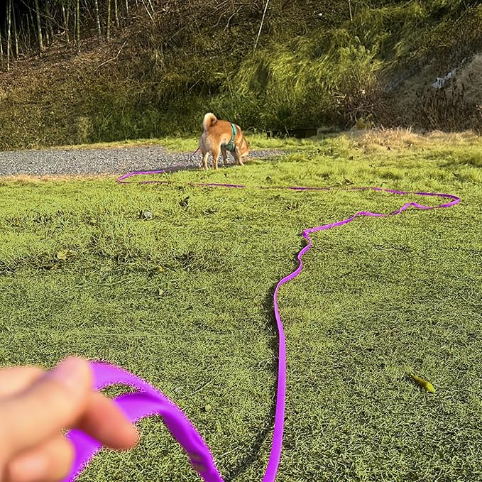 Dog Training Long Leash Waterproof Long Line Heavy Duty Outdoor Recall Lead 10ft 15ft 20ft 30ft 50ft for Small Medium Large Dog (Rose Purple, 30FT)