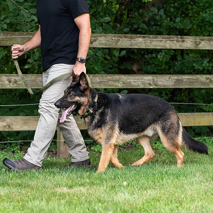 Operation Good Boy Tactical Dog Leash – 5FT Heavy Duty Military-Grade Nylon with Quick Release Aviation Aluminum Clip & 360° Swivel – Training Leash for Medium and Large Dogs (Black)