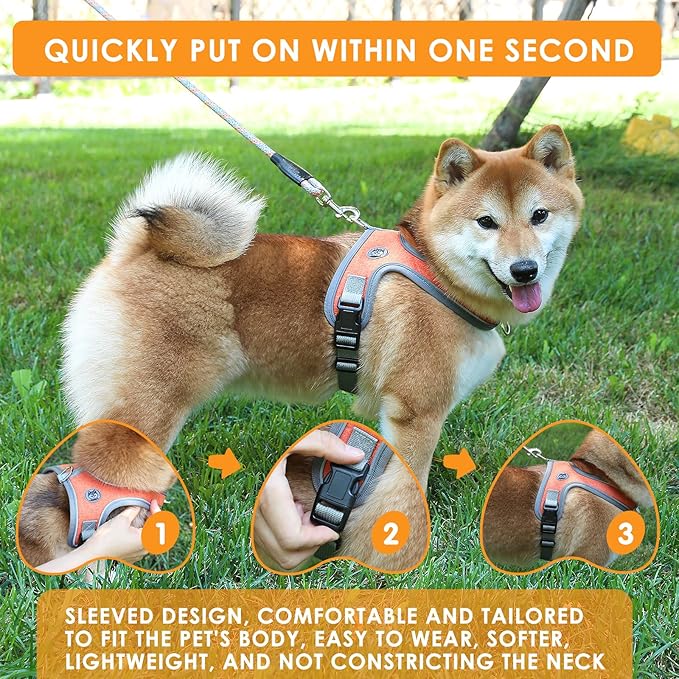 Dog Harness and Leash Set, No Pull Saddle Style Pet Harness, Breathable Mesh Adjustable Reflective Dog Vest for Dogs and Cat Medium Small Harness 2 D-Rings, Orange, L