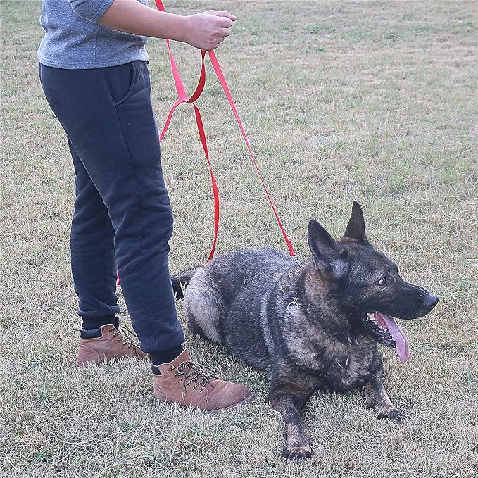 Siumouhoi Dog/Puppy Obedience Recall Training Agility Lead - 15ft 20ft 30ft 40ft 50ft Training Leash - Great for Training, Play, Camping, or Backyard（Red，40 Feet）