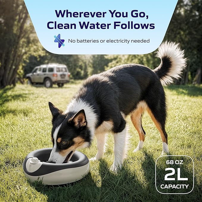 TORUS Filtered Portable Dog Water Dispenser [Upgraded 2025], 2L / 68oz, Automatic Pet Water Dispenser Noise-Free No Spill Water Bowl for Dogs, No Power Needed, Ideal for Medium & Large Pets