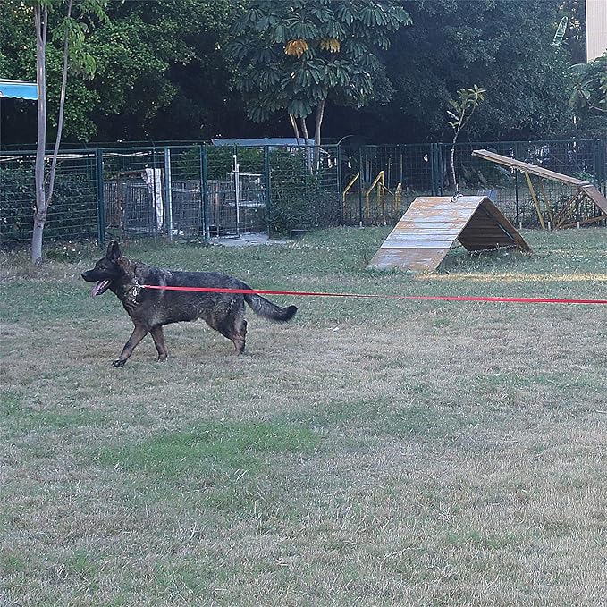 Siumouhoi Dog/Puppy Obedience Recall Training Agility Lead - 15ft 20ft 30ft 40ft 50ft Training Leash - Great for Training, Play, Camping, or Backyard（Red，40 Feet）