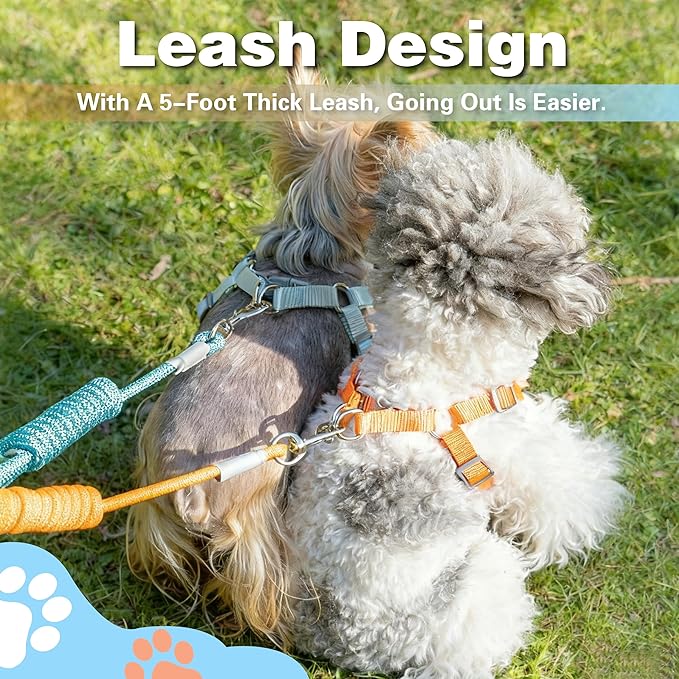 Dog Harness with Leash Set, Puppy Soft Vest No Choke No Pull, Adjustable Neck and Chest, Lightweight Harness and Anti-Twist Pet Leash Combo for Small to Medium Dogs (Orange, L-Large)