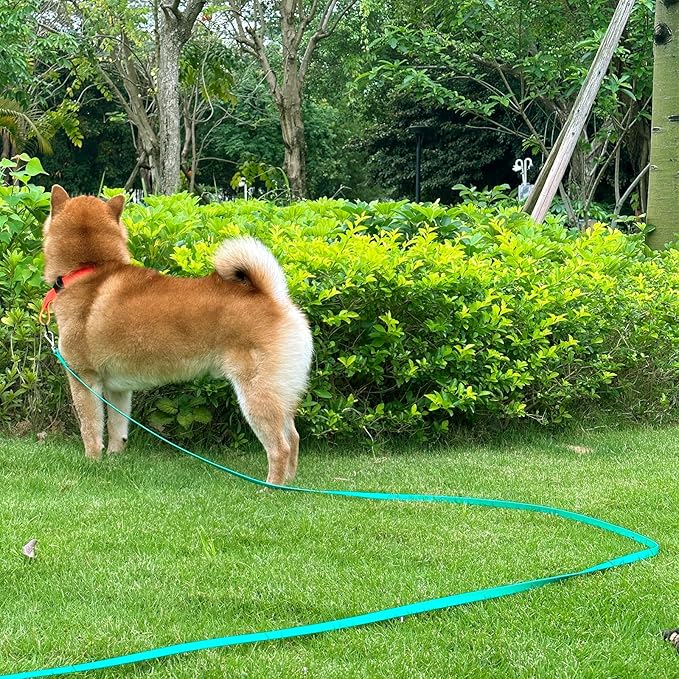 Dog Training Long Leash Waterproof Long Line Heavy Duty Outdoor Recall Lead 10ft 15ft 20ft 30ft 50ft for Small Medium Large Dog (Dark Green, 20FT)