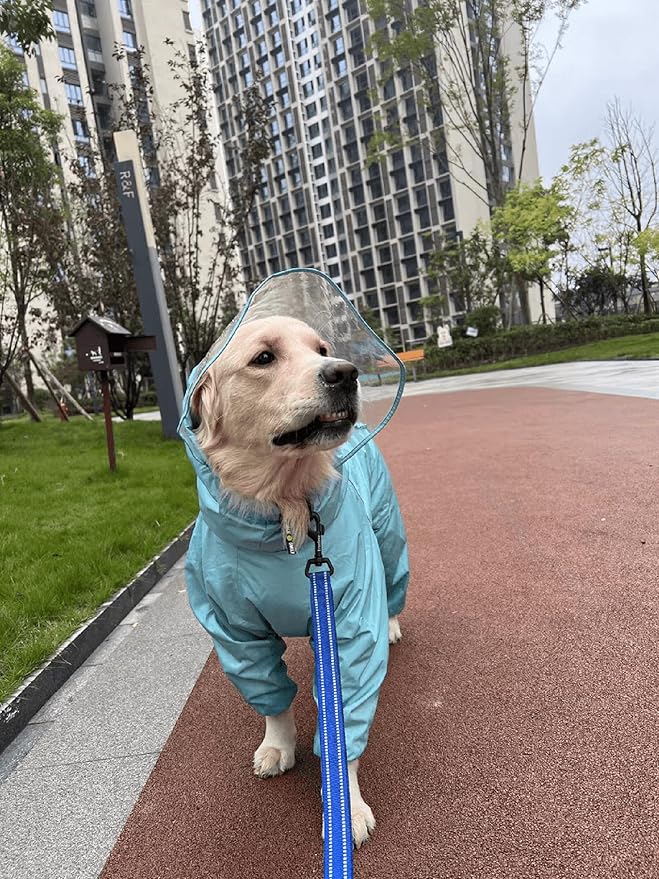 TRUE LOVE Reflective Dog Leash Puppy Walking Lead, Padded Pet Chain Rope，Length 200cm Truelove TLL2111(Royal Blue,L)
