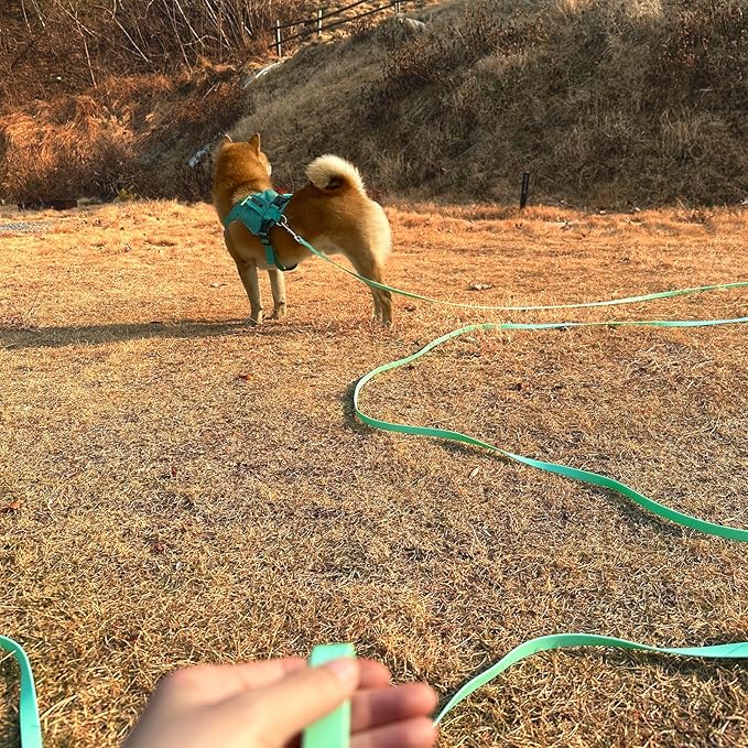 Waterproof Long Leash Durable Dog Recall Training Lead Great for Outdoor Hiking, Training, Yard, Beach and Swimming (Light Green, 30ft)