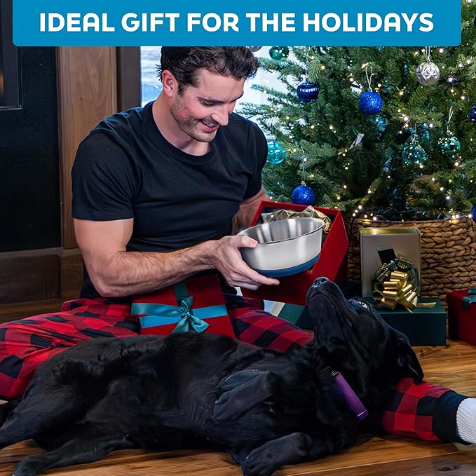 Master Pet Supply Stainless Steel Dog Bowls Set of 2 with Extra Thick Silicone Base - 8 Cup (64 oz) Plum Crazy, Non-Slip, Dishwasher Safe Metal Bowls, Pet Dog Food Bowl for Dogs, Cats, Anti Rust