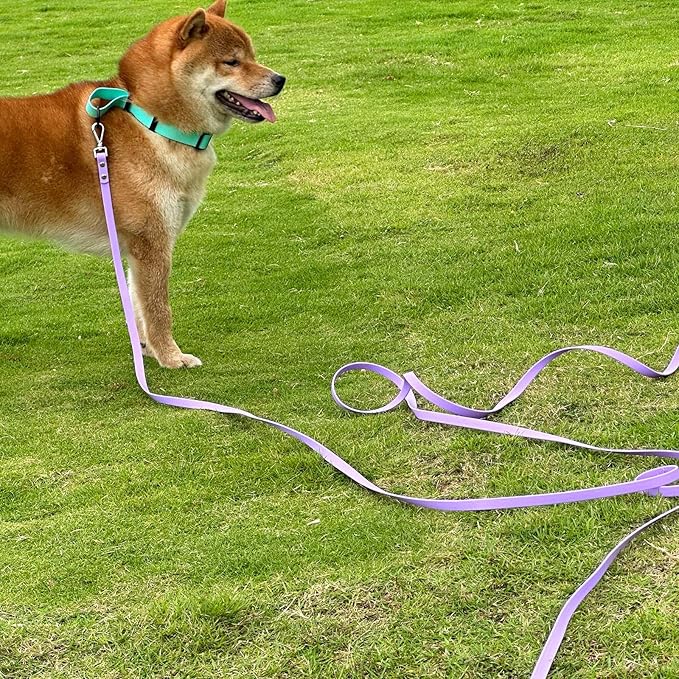 Dog Training Long Leash Waterproof Long Line Heavy Duty Outdoor Recall Lead 10ft 15ft 20ft 30ft 50ft for Small Medium Large Dog (Light Purple, 10FT)