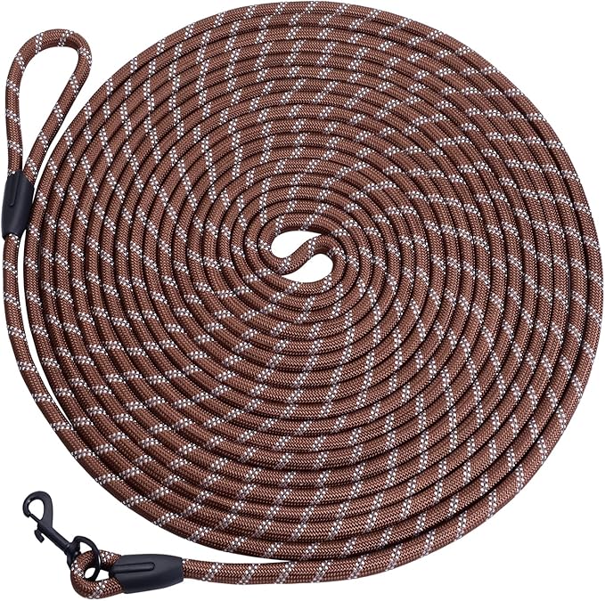 Long Dog Leash for Training 30Ft-Reflective Nylon Rope with Swivel Hook-Recall Agility Lead for Large Small Medium Dogs Outside Walking Hiking-Brown