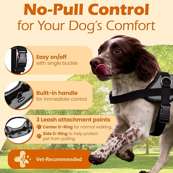 Bark Appeal Gray No-Pull Dog Harness for XS to Small Sized Pets – Adjustable, Reflective Vest with 3 Leash Clips for Added Control, Easy Walks & Training – S
