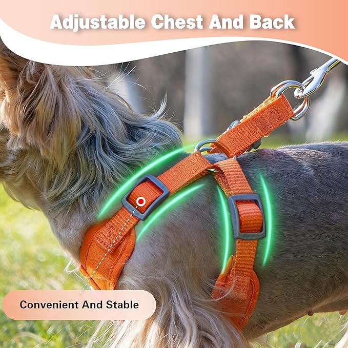 Dog Harness with Leash Set, Puppy Soft Vest No Choke No Pull, Adjustable Neck and Chest, Lightweight Harness and Anti-Twist Pet Leash Combo for Small to Medium Dogs (Orange, L-Large)